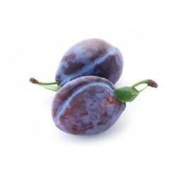 Prunes Quetsches