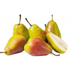 Poire Louise Bonne (6 fruits)