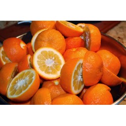 Oranges Amères Séville...
