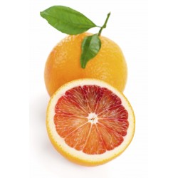 Oranges Sanguines (4/5 Fruits)