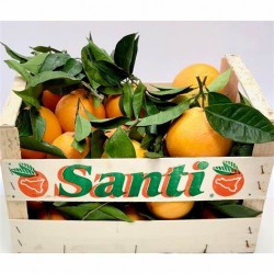 Oranges De Sicile (4/5 fruits)