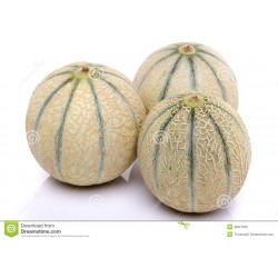 Melon (2personnes)
