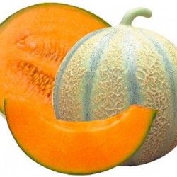 Gros Melon  (5/6 personnes)