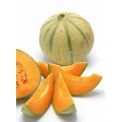 Melon Bénac (4 personnes)